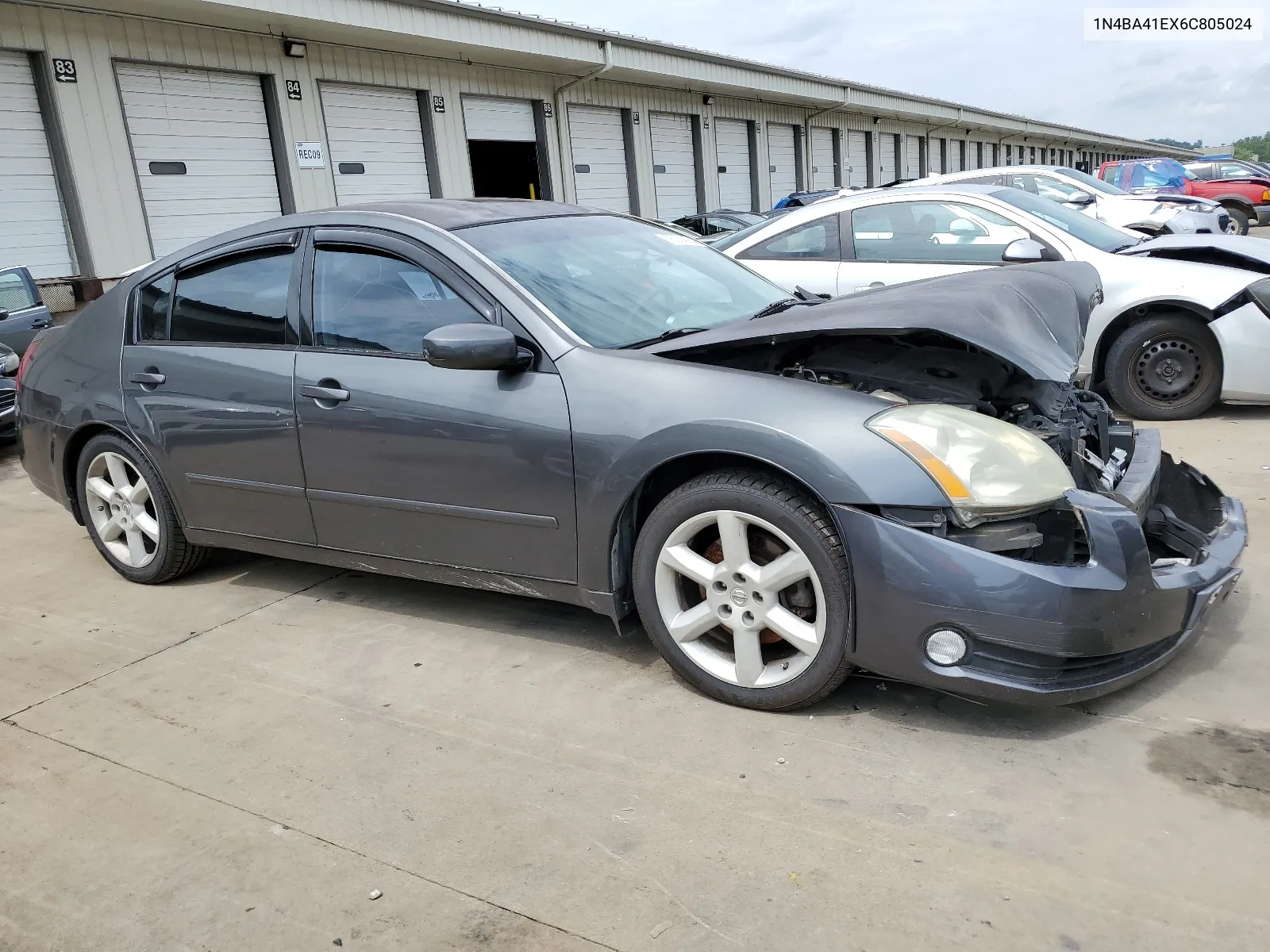 2006 Nissan Maxima Se VIN: 1N4BA41EX6C805024 Lot: 65024384