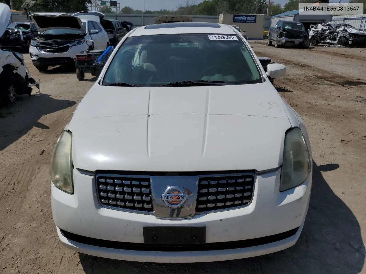 2006 Nissan Maxima Se VIN: 1N4BA41E56C813547 Lot: 71209564