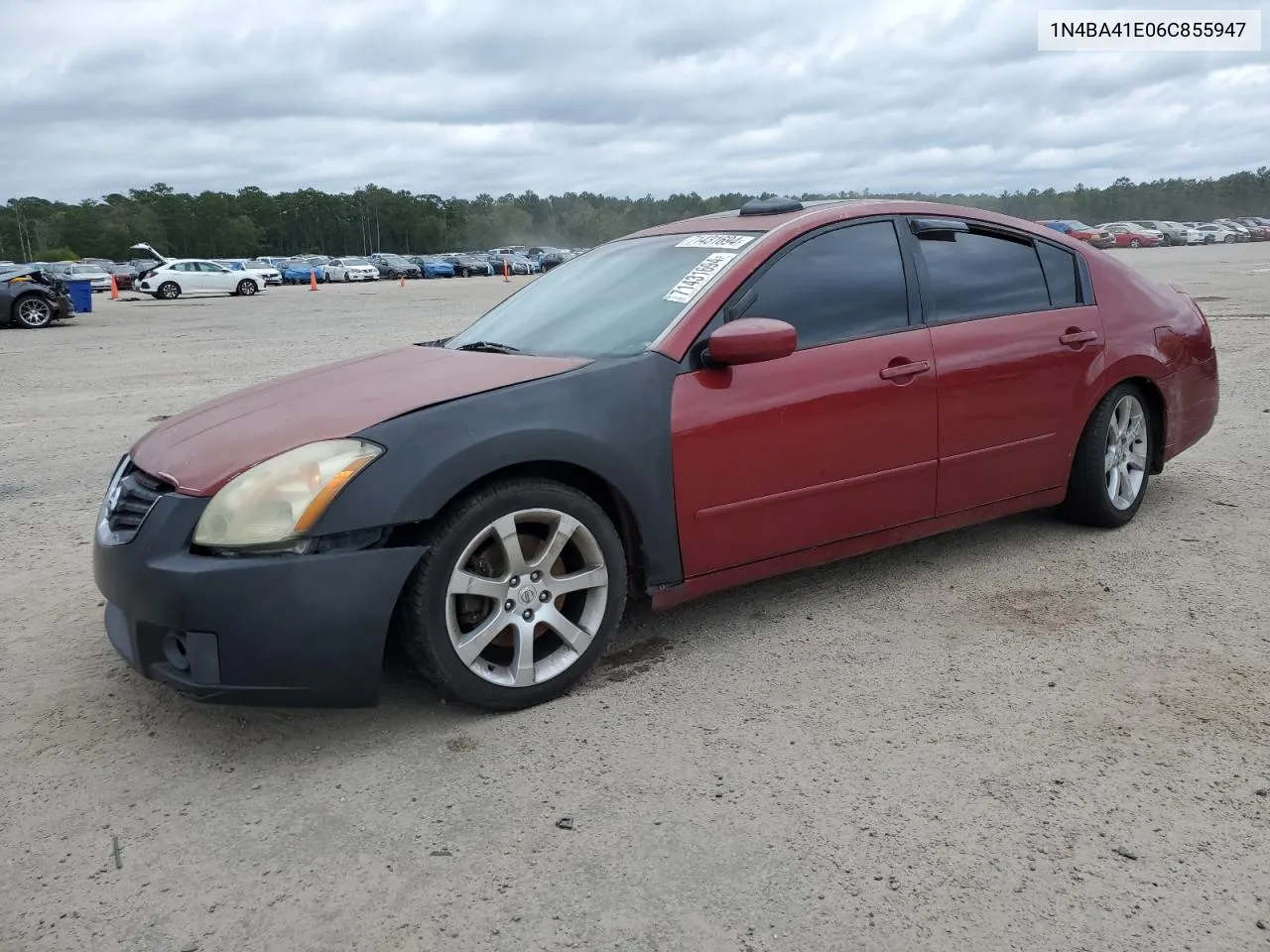 2006 Nissan Maxima Se VIN: 1N4BA41E06C855947 Lot: 71431694