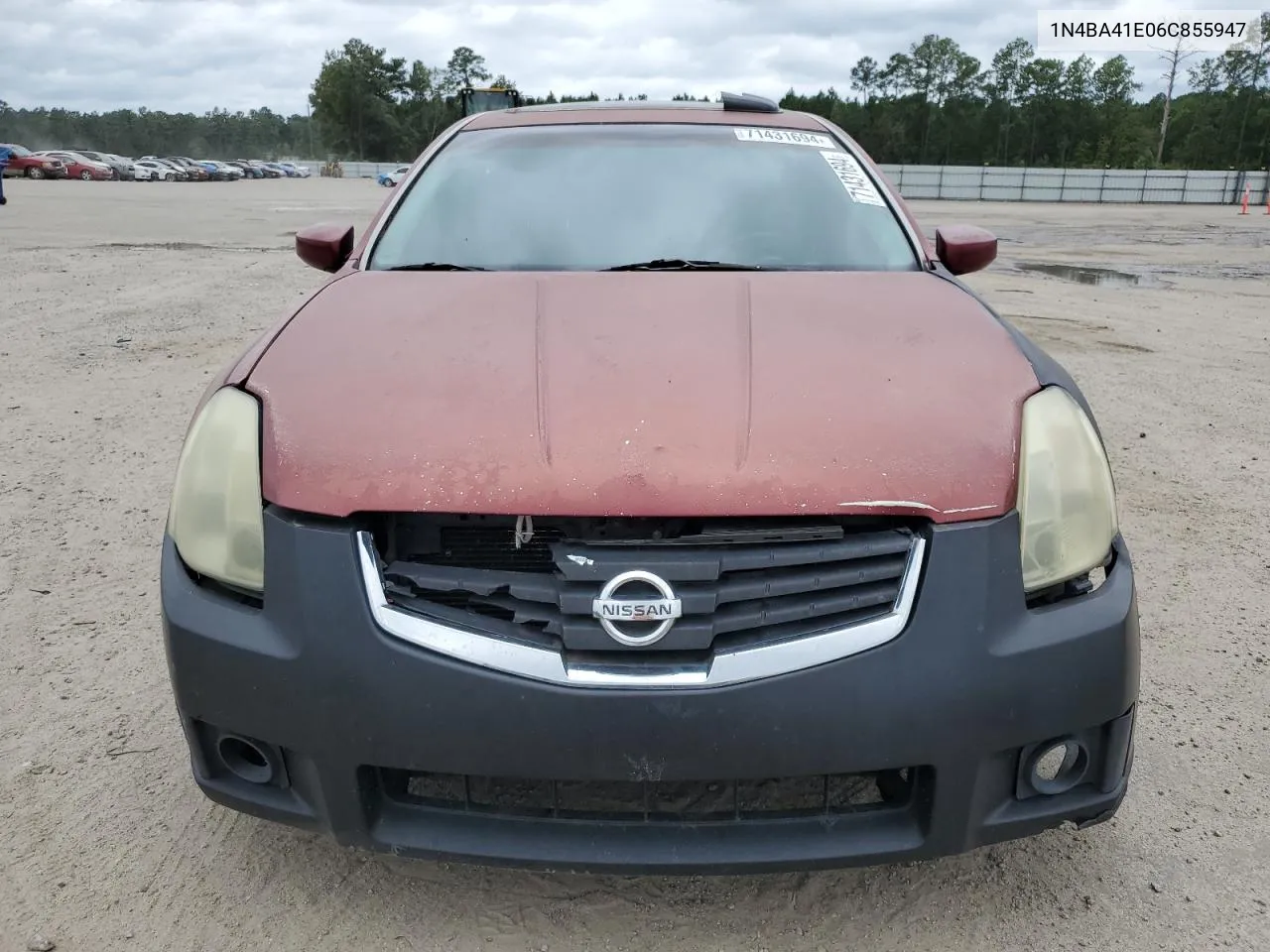 2006 Nissan Maxima Se VIN: 1N4BA41E06C855947 Lot: 71431694