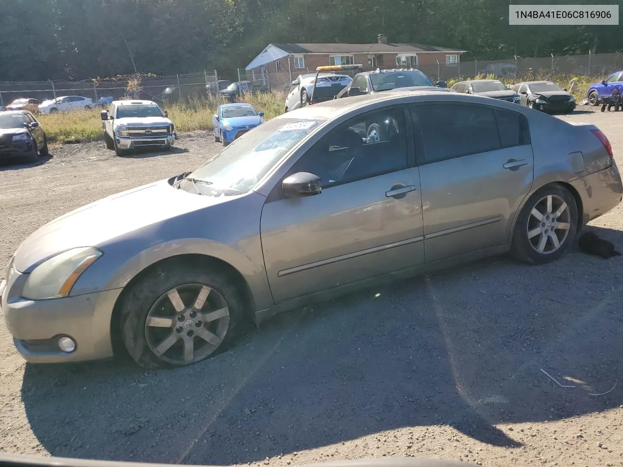 2006 Nissan Maxima Se VIN: 1N4BA41E06C816906 Lot: 74484604