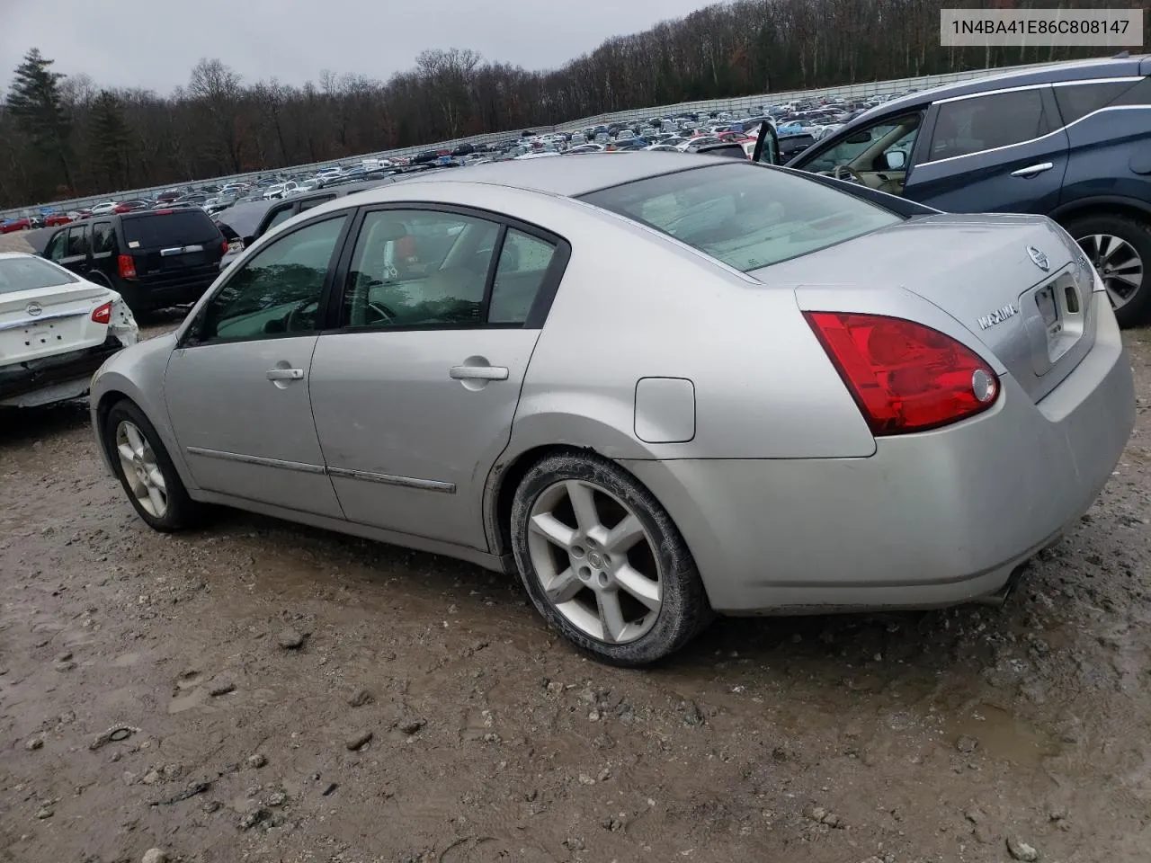 2006 Nissan Maxima Se VIN: 1N4BA41E86C808147 Lot: 74919913