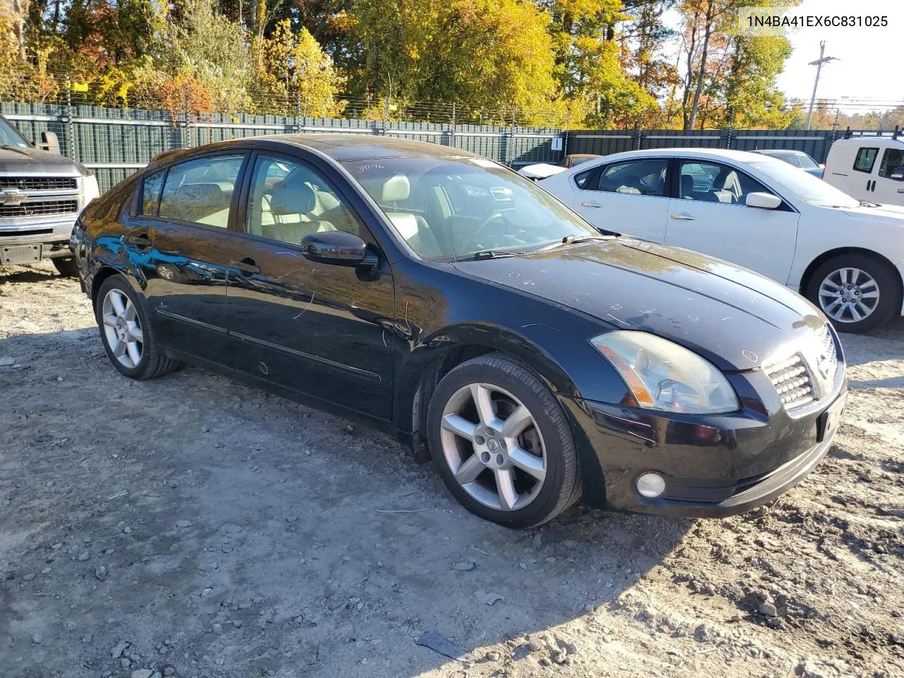 2006 Nissan Maxima Se VIN: 1N4BA41EX6C831025 Lot: 76753654