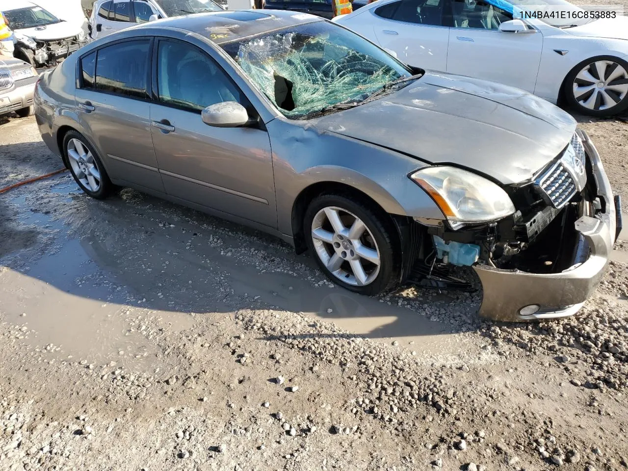 2006 Nissan Maxima Se VIN: 1N4BA41E16C853883 Lot: 77401494