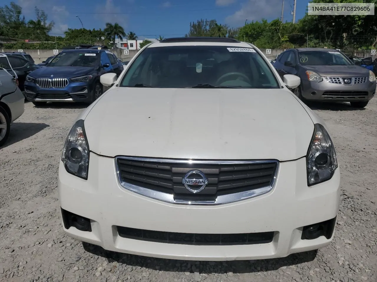 2007 Nissan Maxima Se VIN: 1N4BA41E77C829606 Lot: 62052484