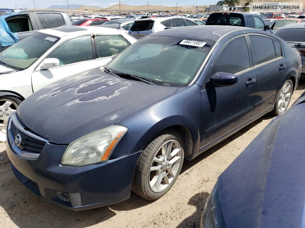 2007 Nissan Maxima Se VIN: 1N4BA41E27C846569 Lot: 66671503