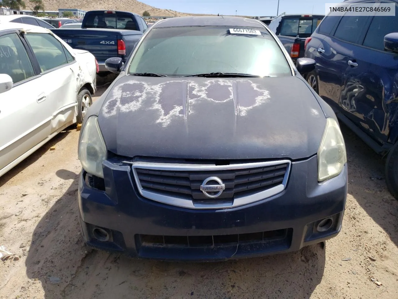 2007 Nissan Maxima Se VIN: 1N4BA41E27C846569 Lot: 66671503