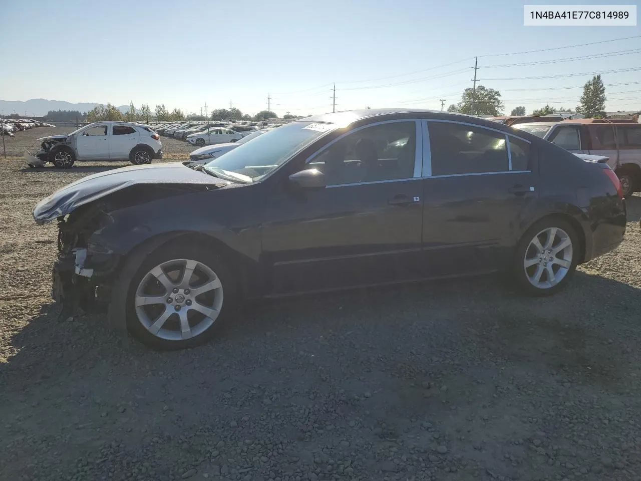 2007 Nissan Maxima Se VIN: 1N4BA41E77C814989 Lot: 69570164