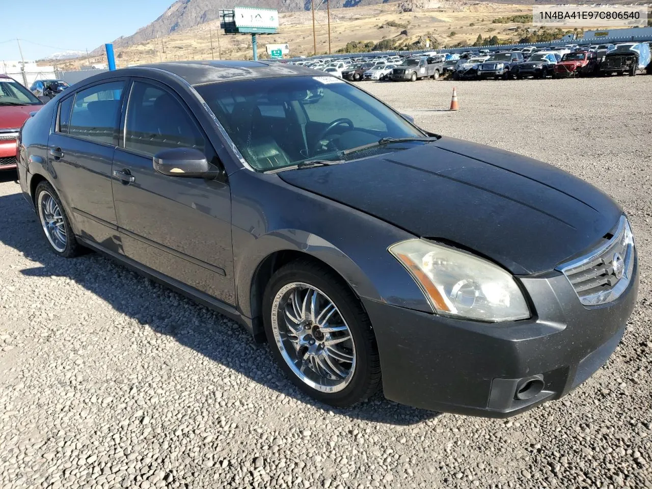 2007 Nissan Maxima Se VIN: 1N4BA41E97C806540 Lot: 79962004