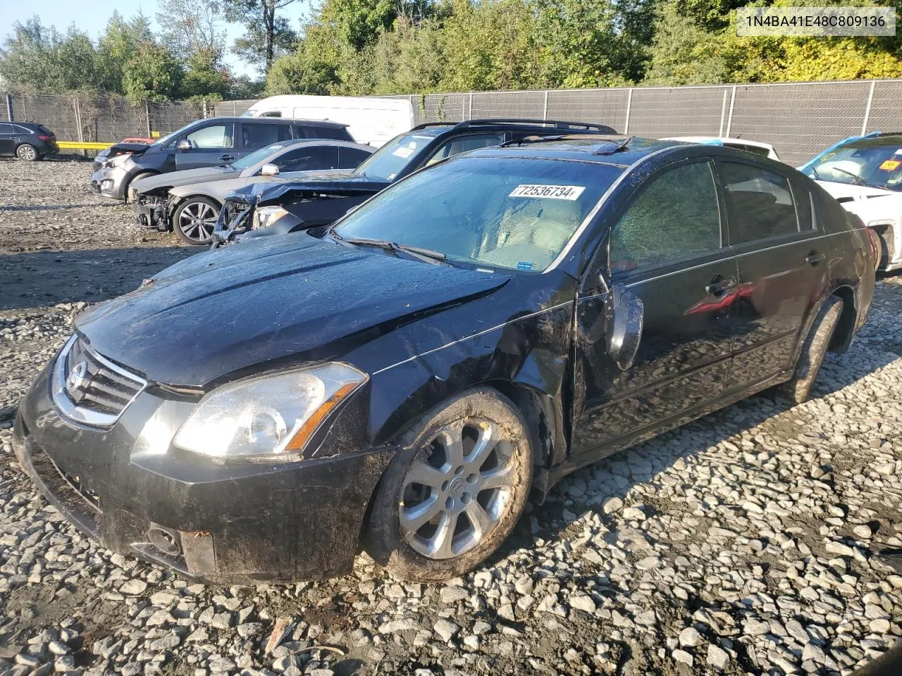 2008 Nissan Maxima Se VIN: 1N4BA41E48C809136 Lot: 72536734