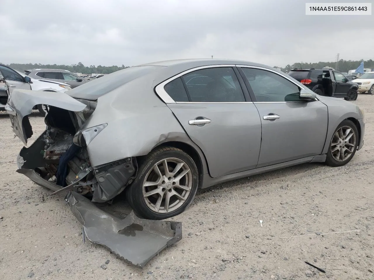 2009 Nissan Maxima S VIN: 1N4AA51E59C861443 Lot: 46278014