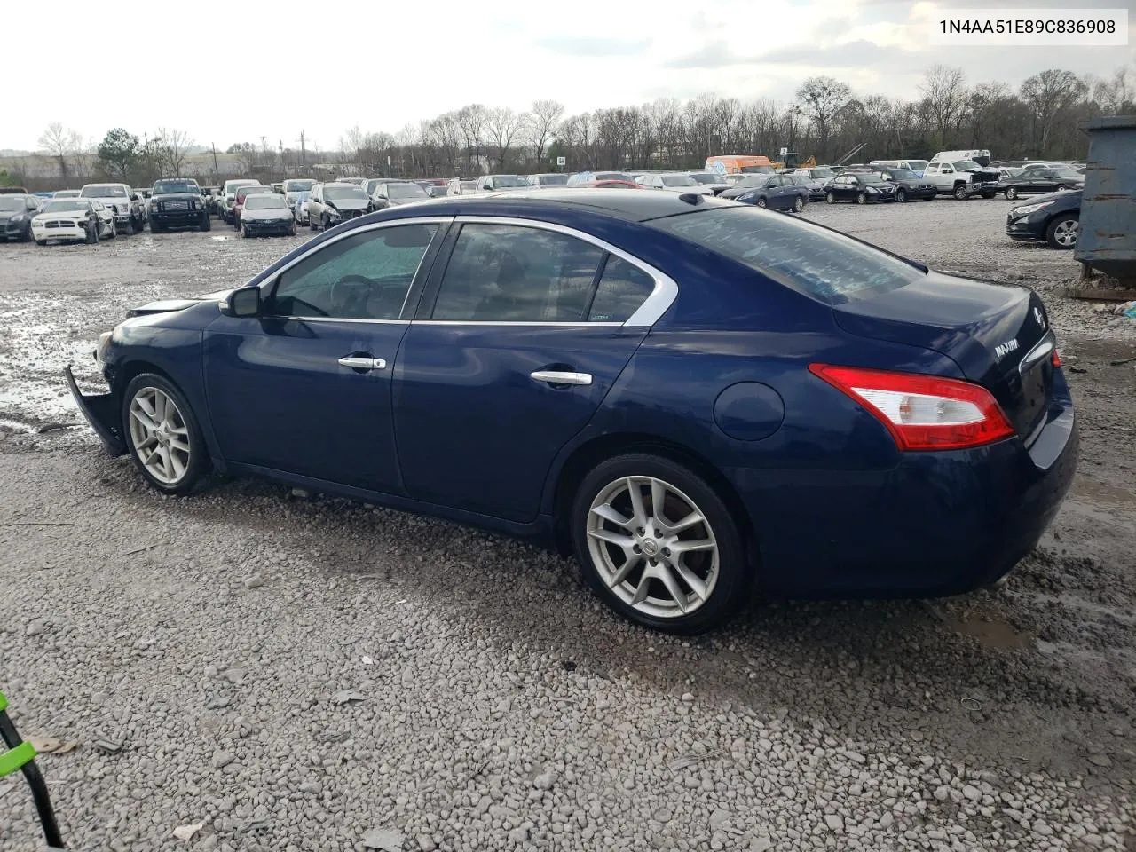 2009 Nissan Maxima S VIN: 1N4AA51E89C836908 Lot: 46938504