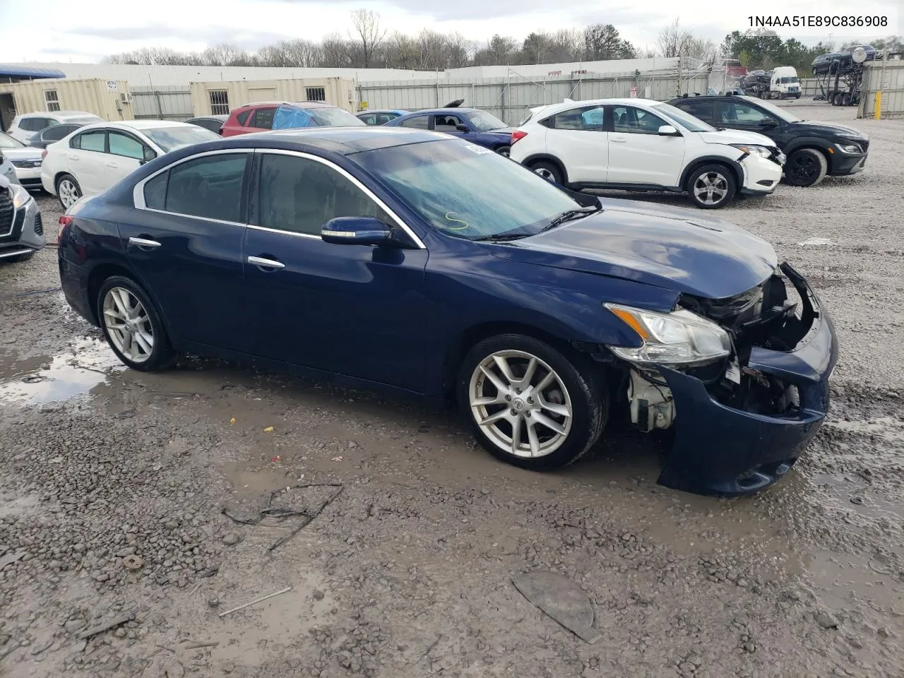 2009 Nissan Maxima S VIN: 1N4AA51E89C836908 Lot: 46938504