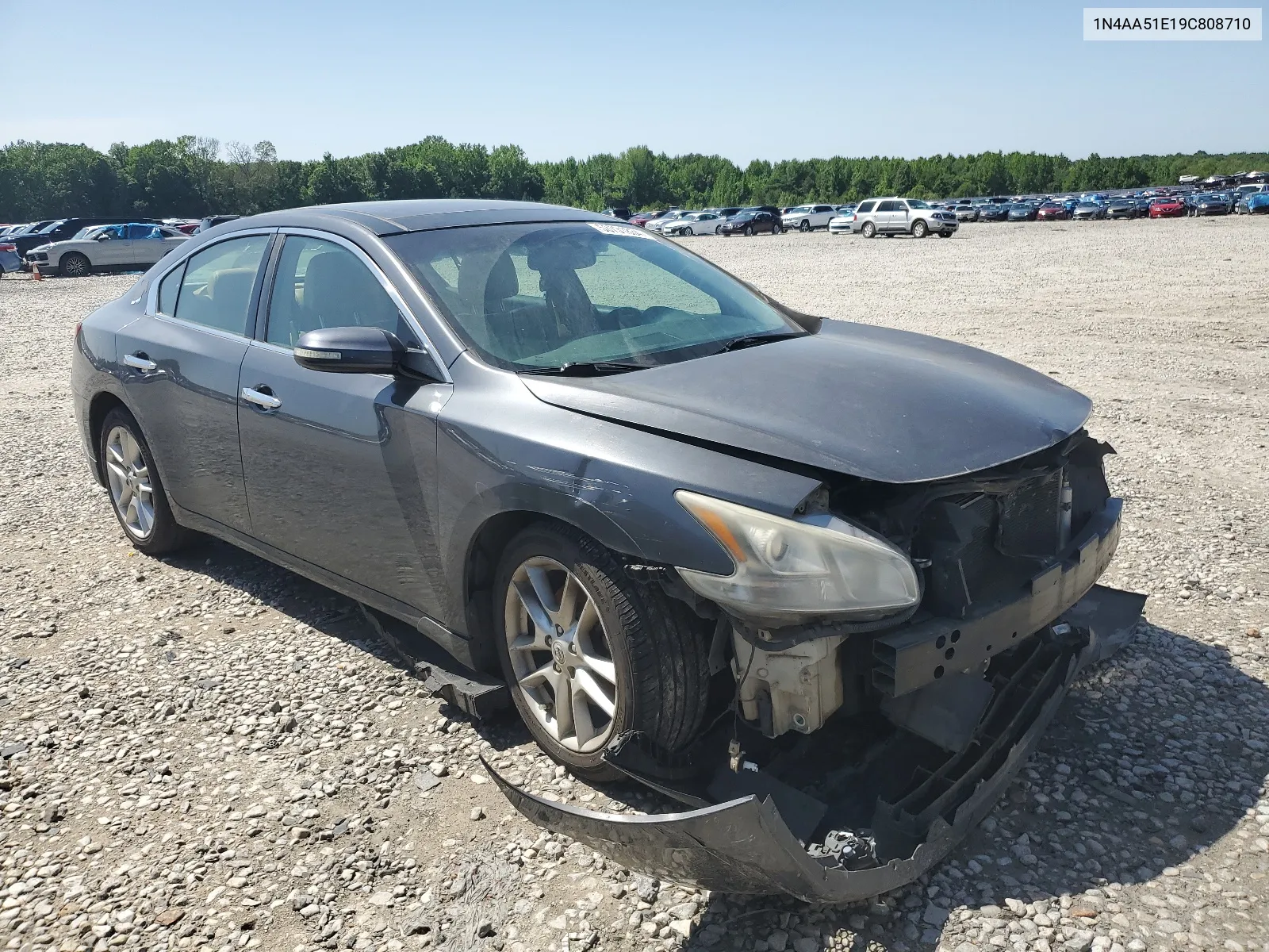 1N4AA51E19C808710 2009 Nissan Maxima S