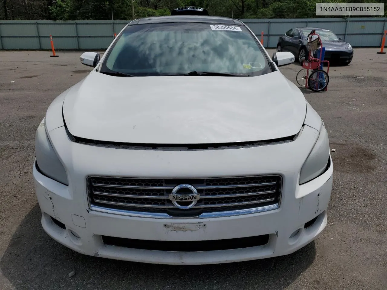 2009 Nissan Maxima S VIN: 1N4AA51E89C855152 Lot: 58300604