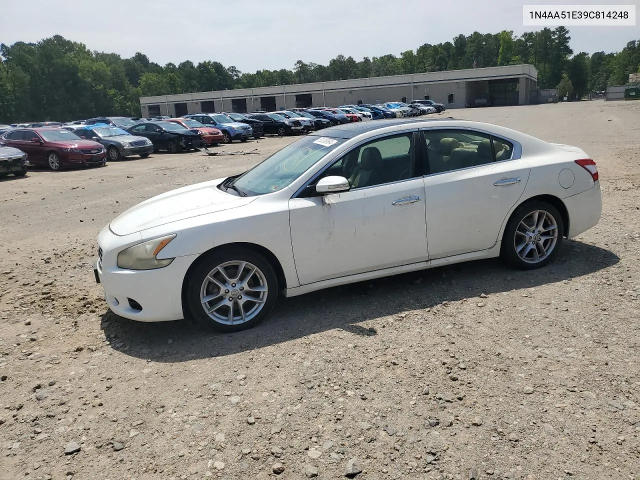 2009 Nissan Maxima S VIN: 1N4AA51E39C814248 Lot: 62036564