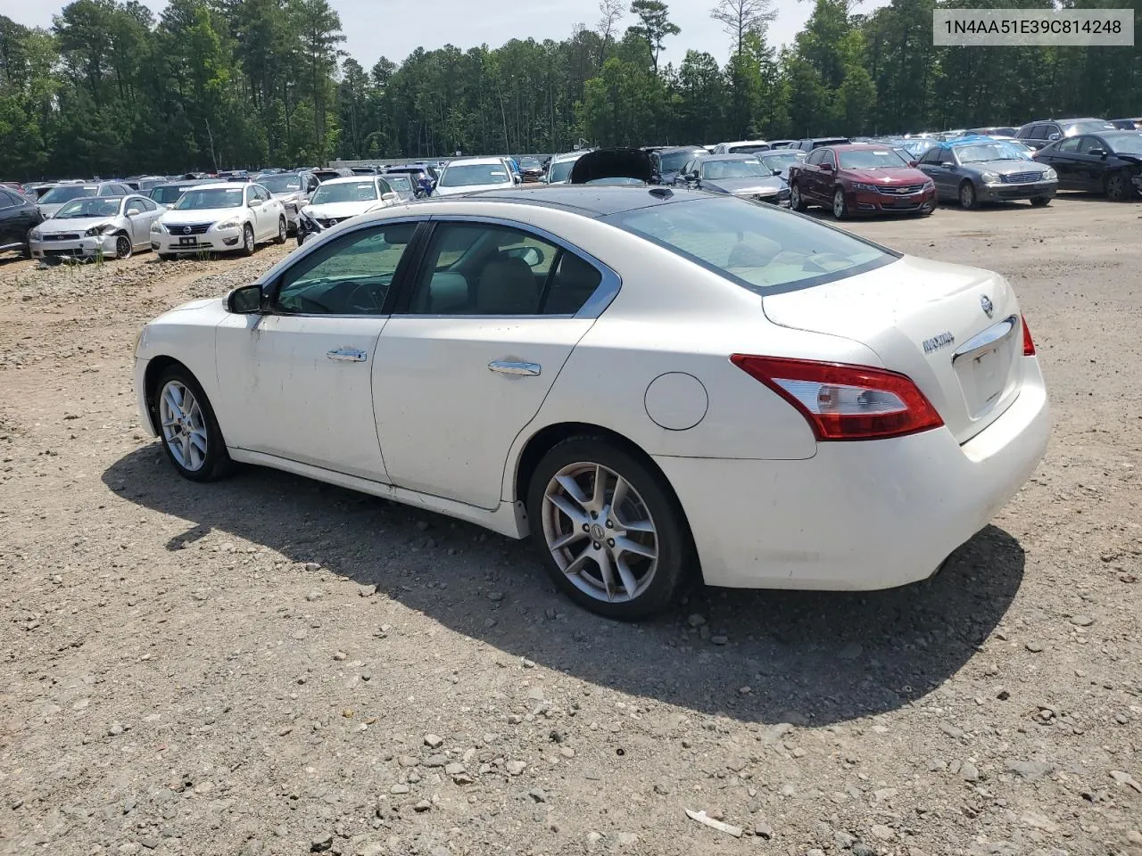 2009 Nissan Maxima S VIN: 1N4AA51E39C814248 Lot: 62036564