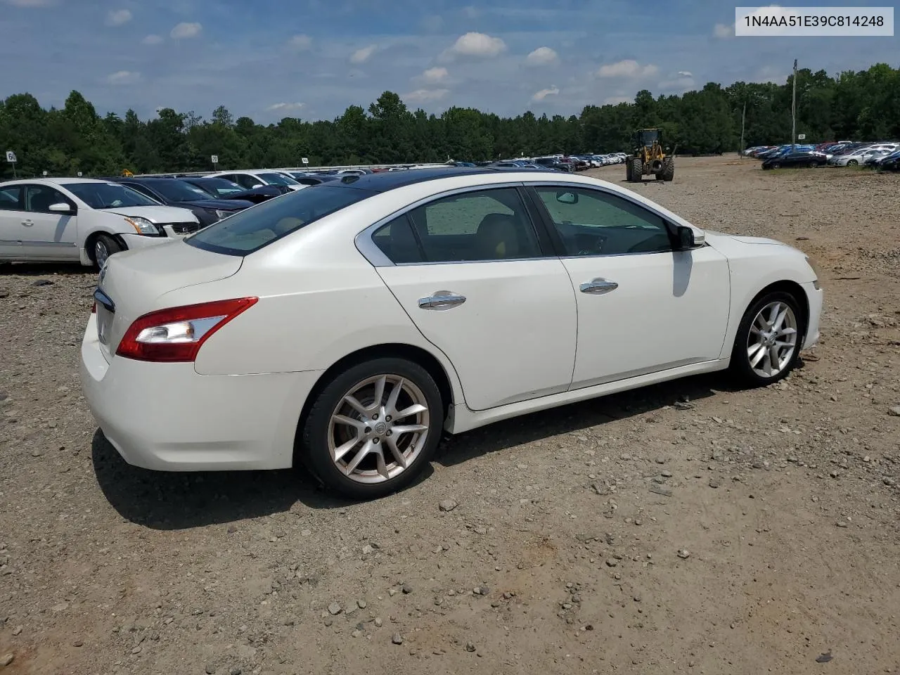 2009 Nissan Maxima S VIN: 1N4AA51E39C814248 Lot: 62036564