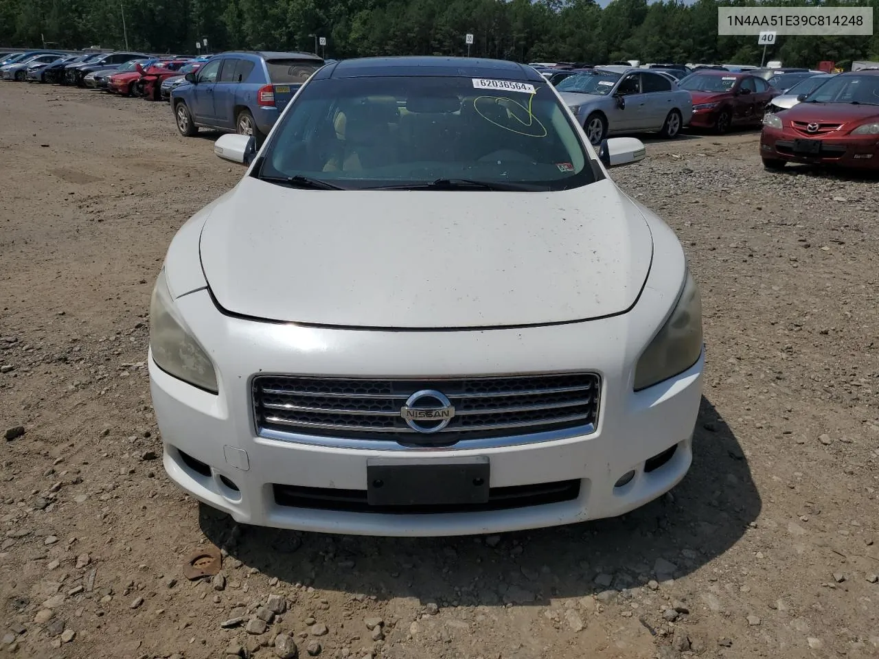 2009 Nissan Maxima S VIN: 1N4AA51E39C814248 Lot: 62036564