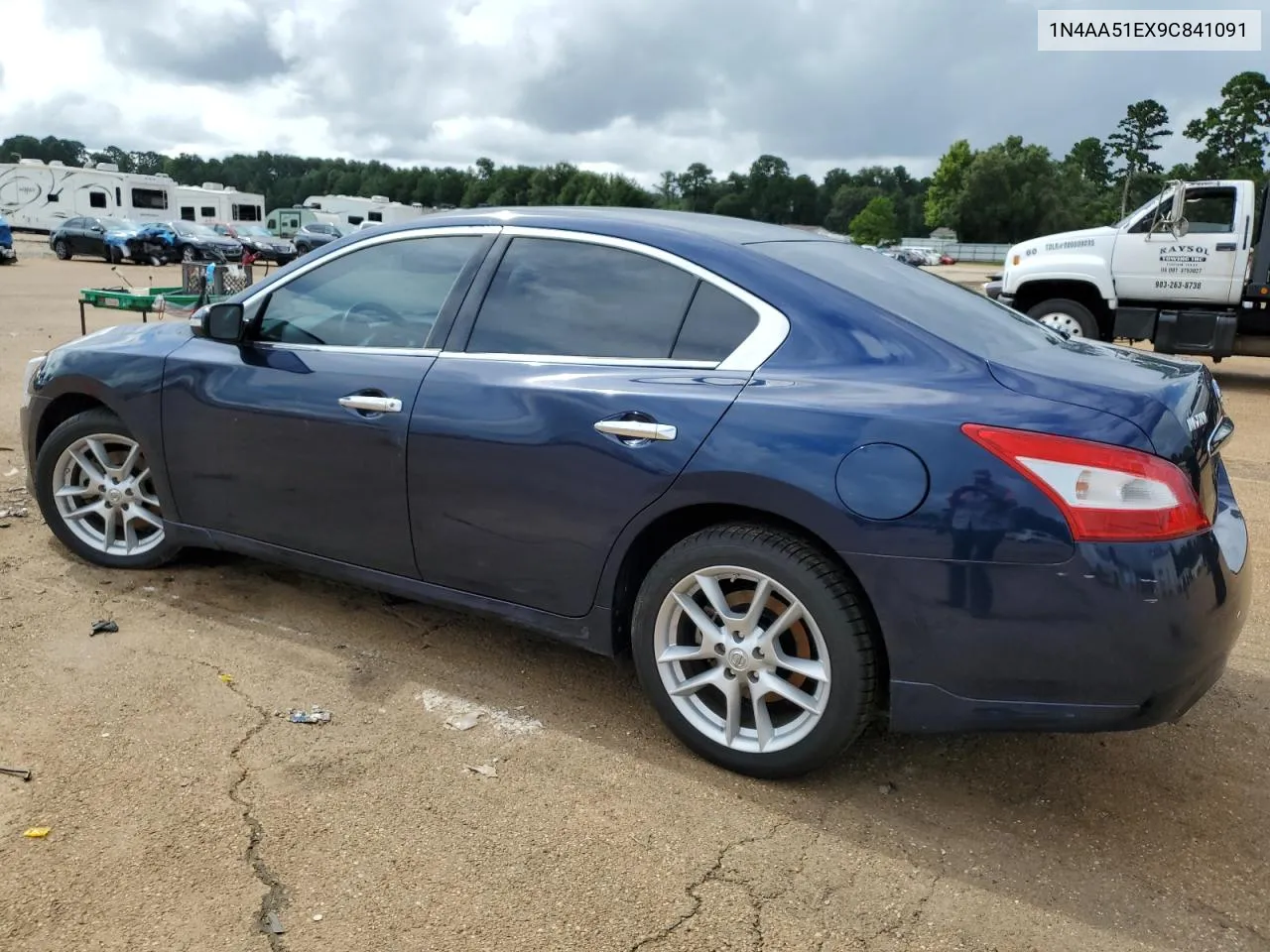 2009 Nissan Maxima S VIN: 1N4AA51EX9C841091 Lot: 63491224