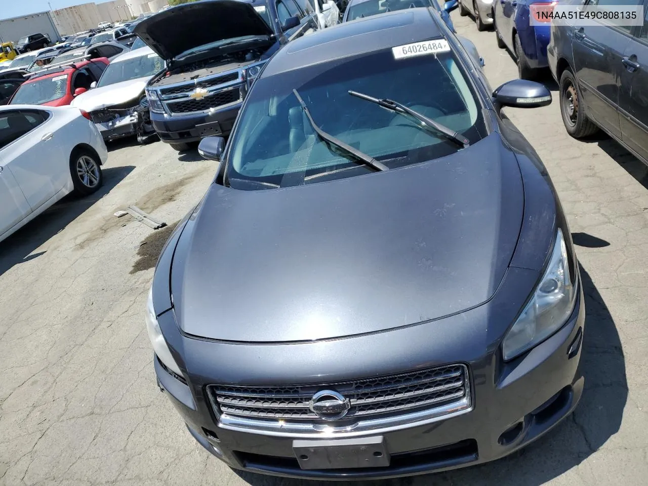 2009 Nissan Maxima S VIN: 1N4AA51E49C808135 Lot: 64026484