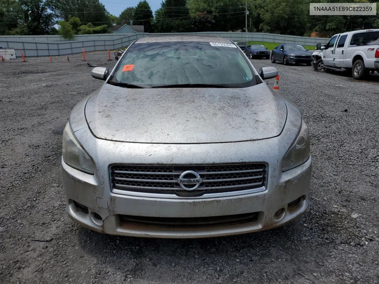 2009 Nissan Maxima S VIN: 1N4AA51E89C822359 Lot: 65135504