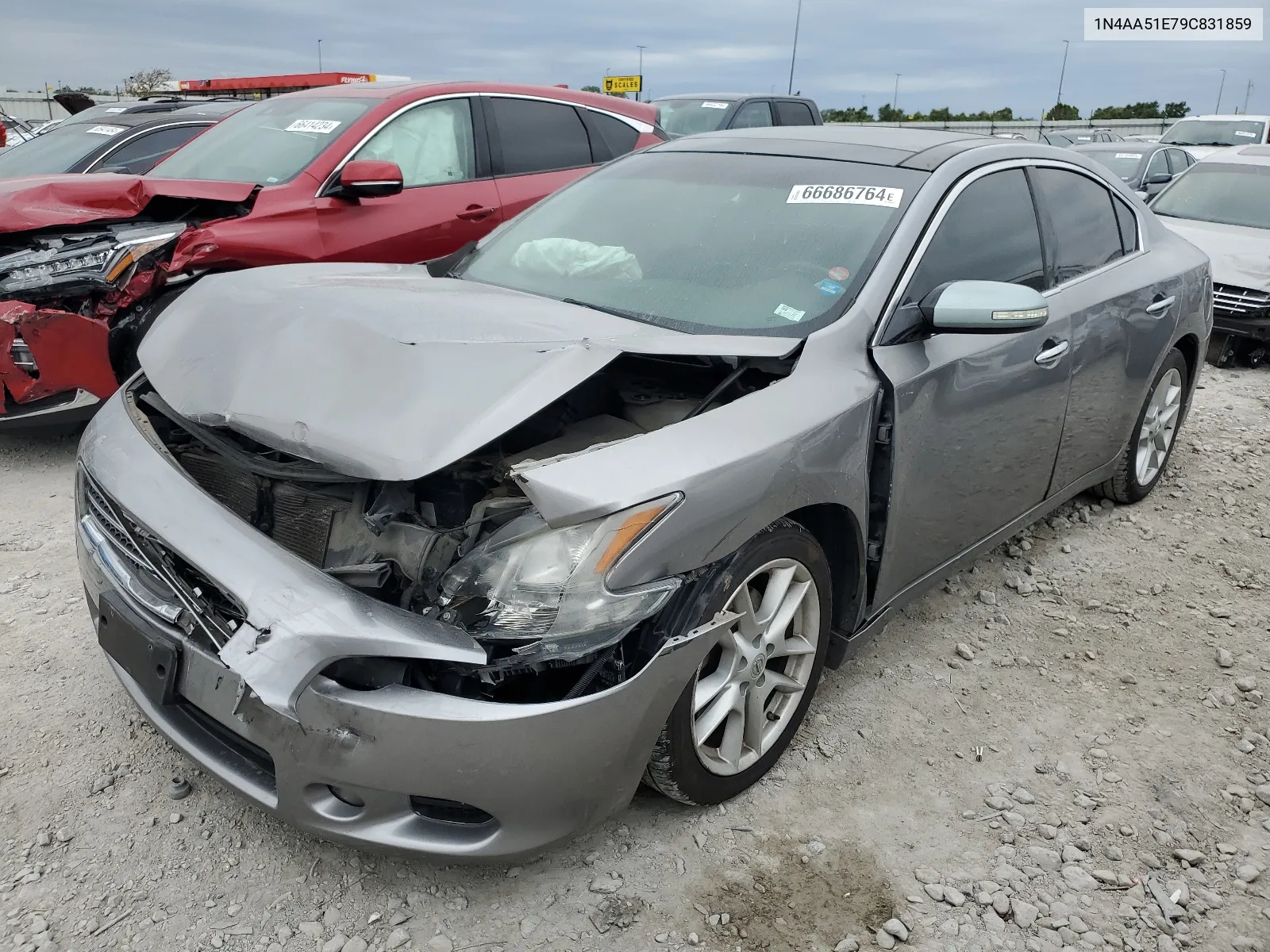 2009 Nissan Maxima S VIN: 1N4AA51E79C831859 Lot: 66686764