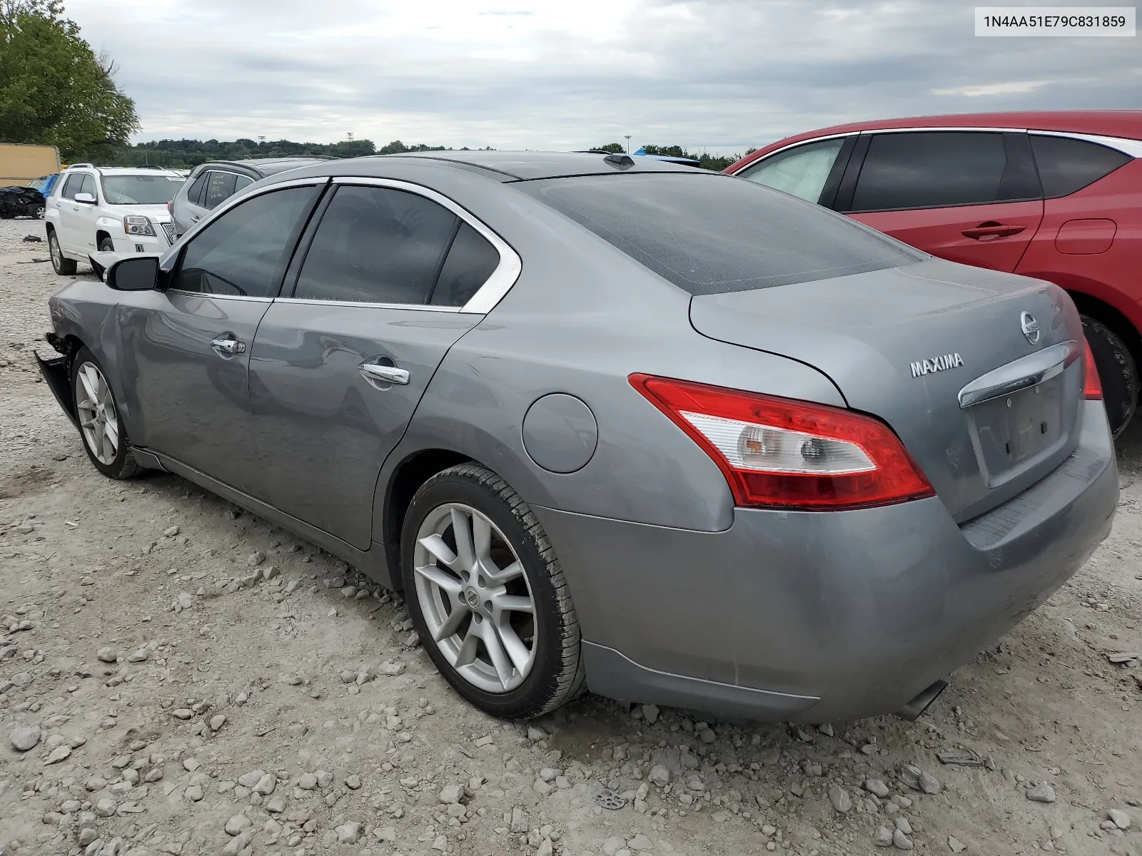 2009 Nissan Maxima S VIN: 1N4AA51E79C831859 Lot: 66686764