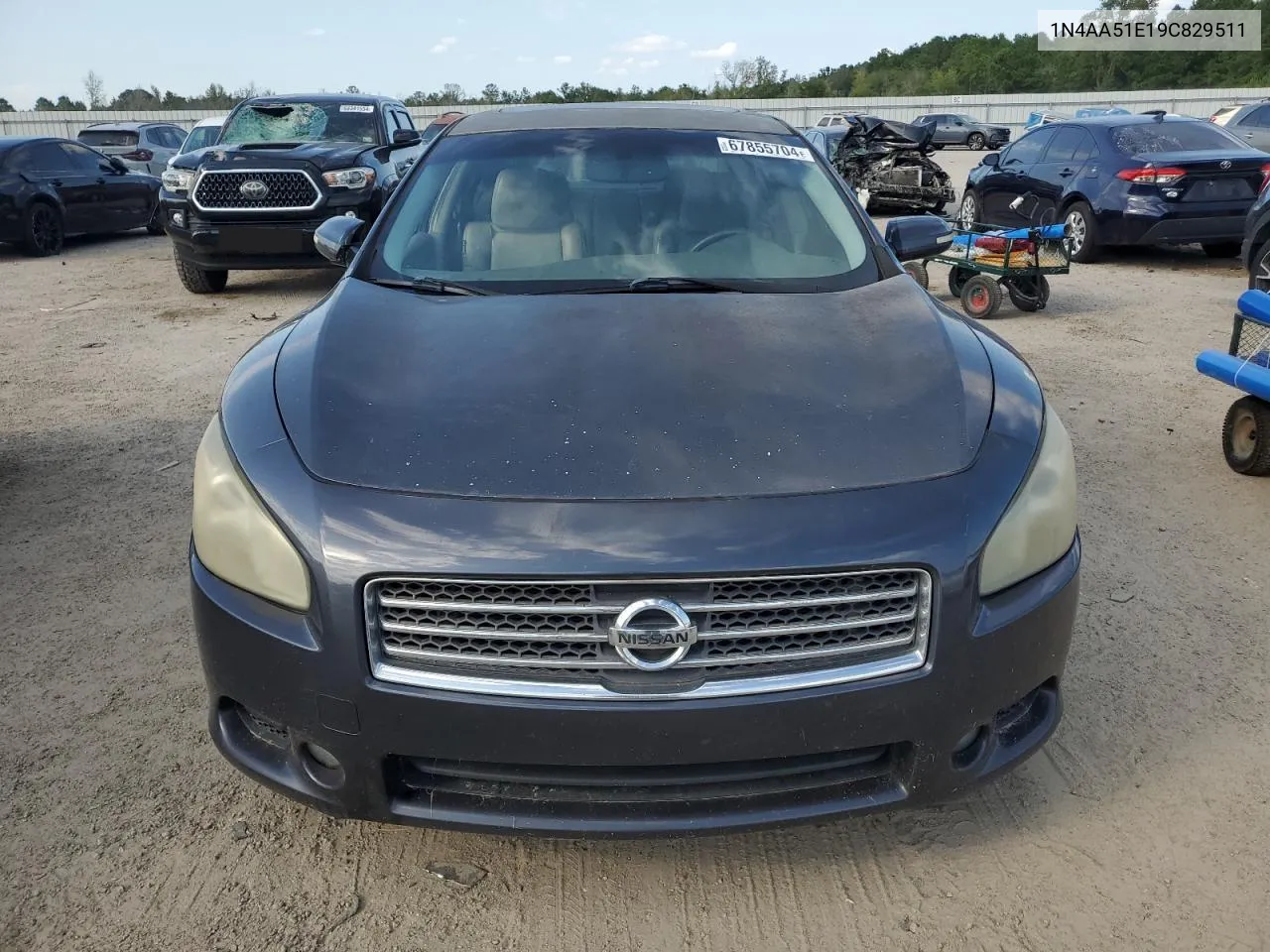 1N4AA51E19C829511 2009 Nissan Maxima S