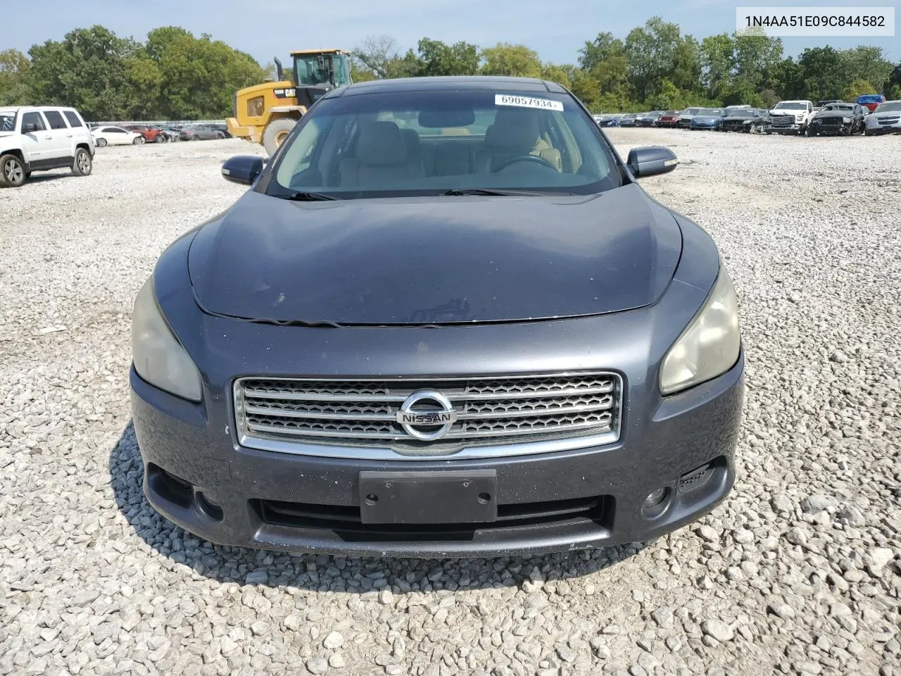 2009 Nissan Maxima S VIN: 1N4AA51E09C844582 Lot: 69057934