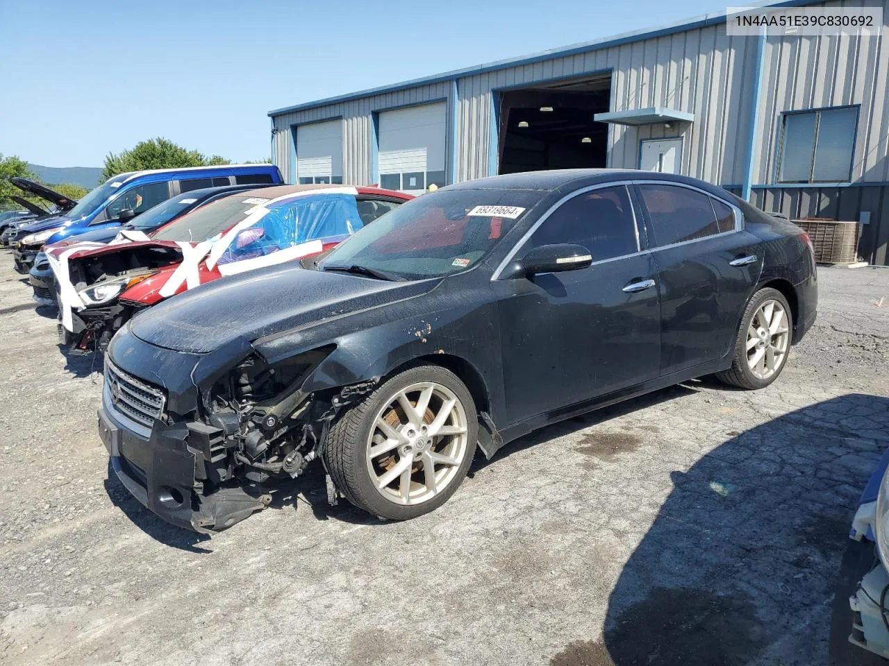 2009 Nissan Maxima S VIN: 1N4AA51E39C830692 Lot: 69319664