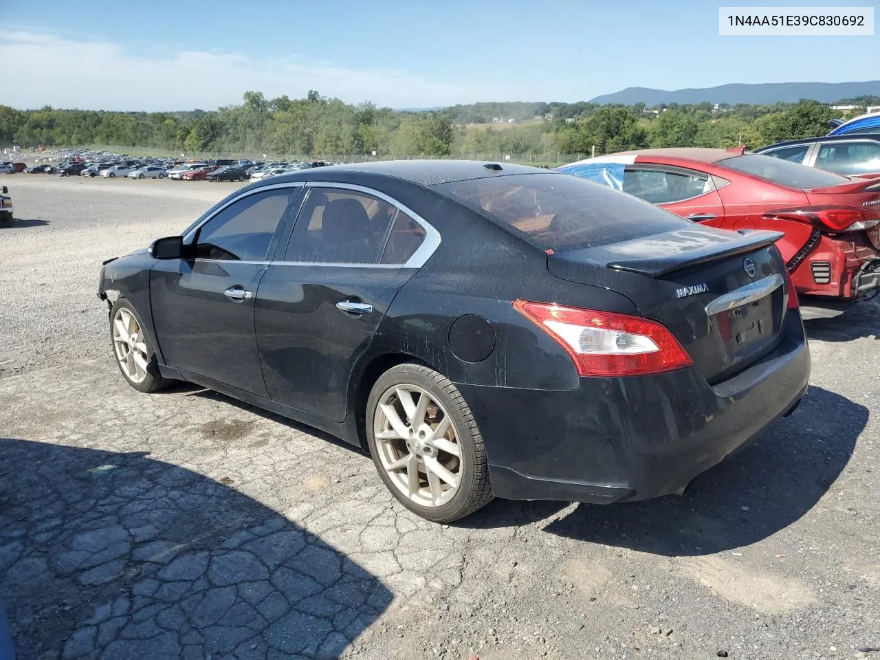 2009 Nissan Maxima S VIN: 1N4AA51E39C830692 Lot: 69319664