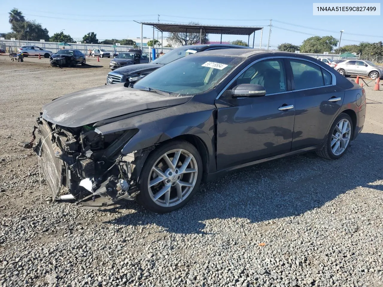 2009 Nissan Maxima S VIN: 1N4AA51E59C827499 Lot: 69718884