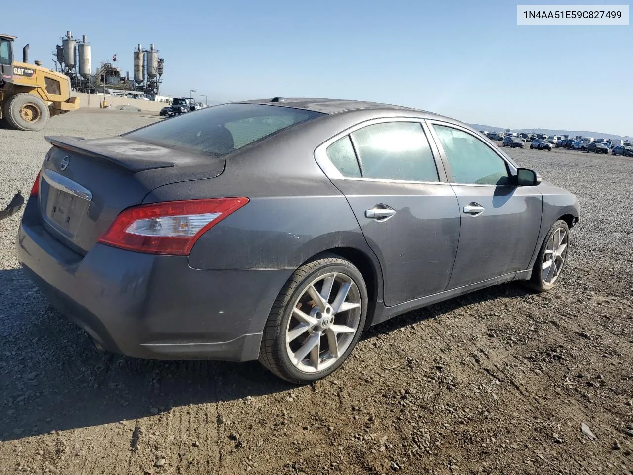 2009 Nissan Maxima S VIN: 1N4AA51E59C827499 Lot: 69718884