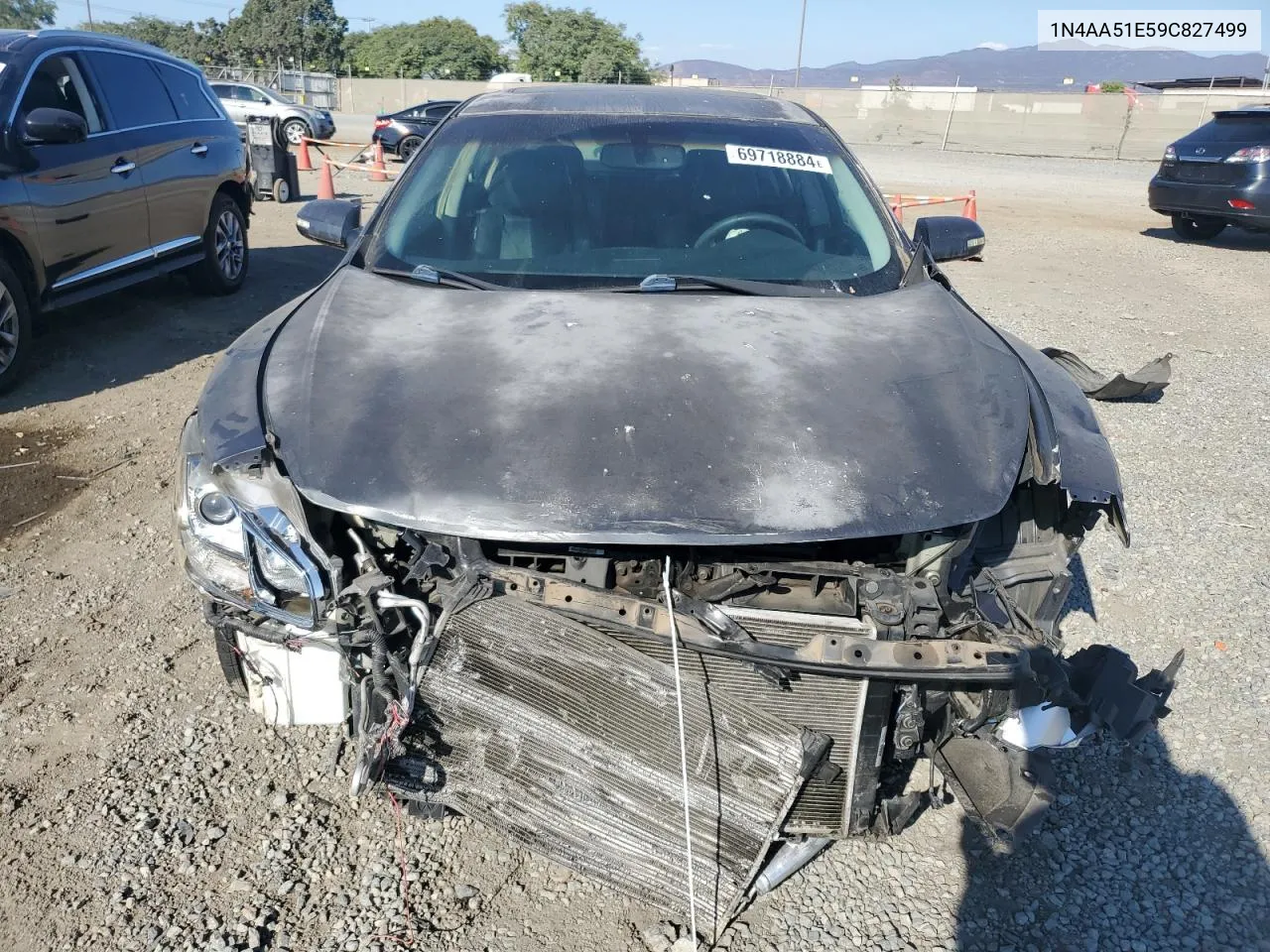 2009 Nissan Maxima S VIN: 1N4AA51E59C827499 Lot: 69718884