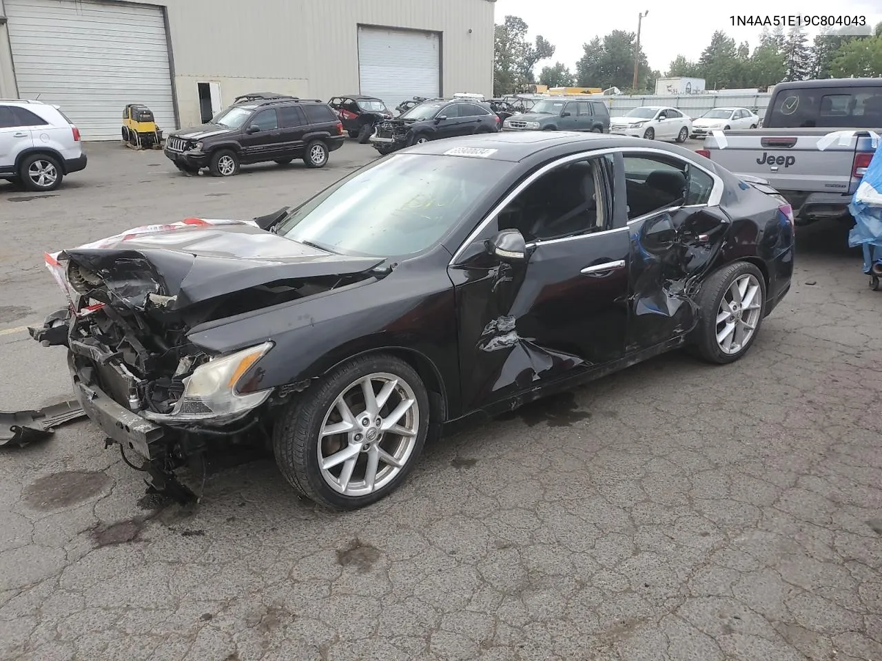 2009 Nissan Maxima S VIN: 1N4AA51E19C804043 Lot: 69900034