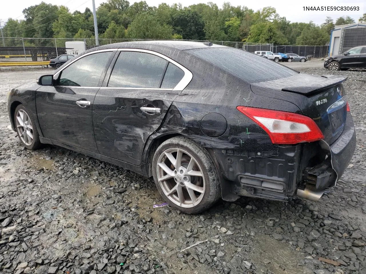 2009 Nissan Maxima S VIN: 1N4AA51E59C830693 Lot: 71480814