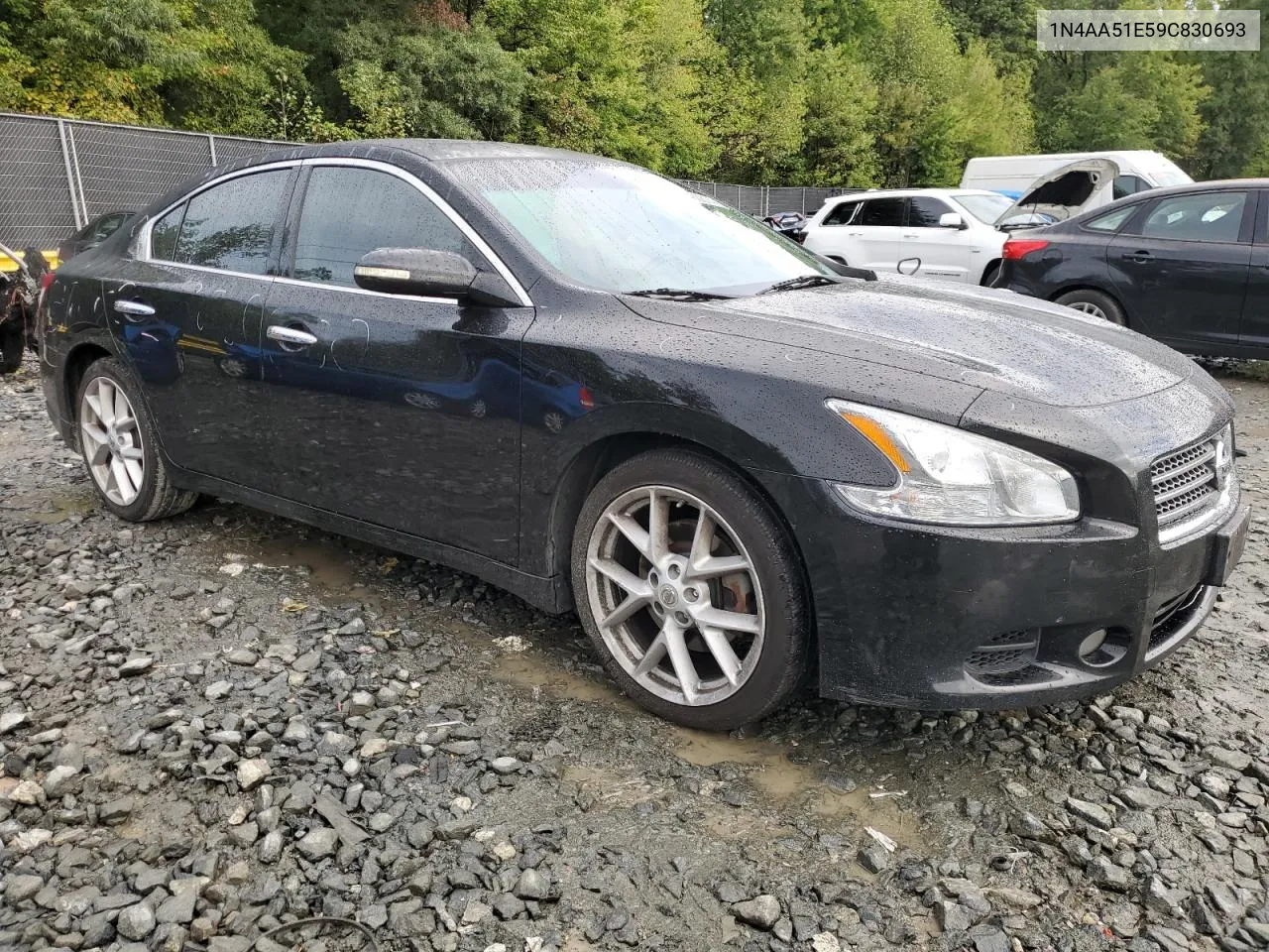 2009 Nissan Maxima S VIN: 1N4AA51E59C830693 Lot: 71480814