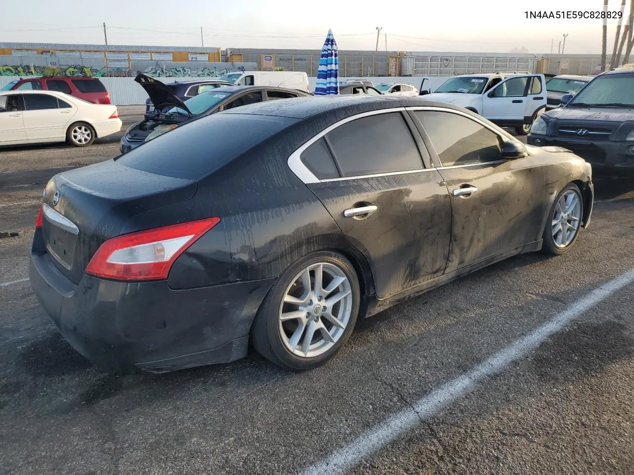 2009 Nissan Maxima S VIN: 1N4AA51E59C828829 Lot: 72470114