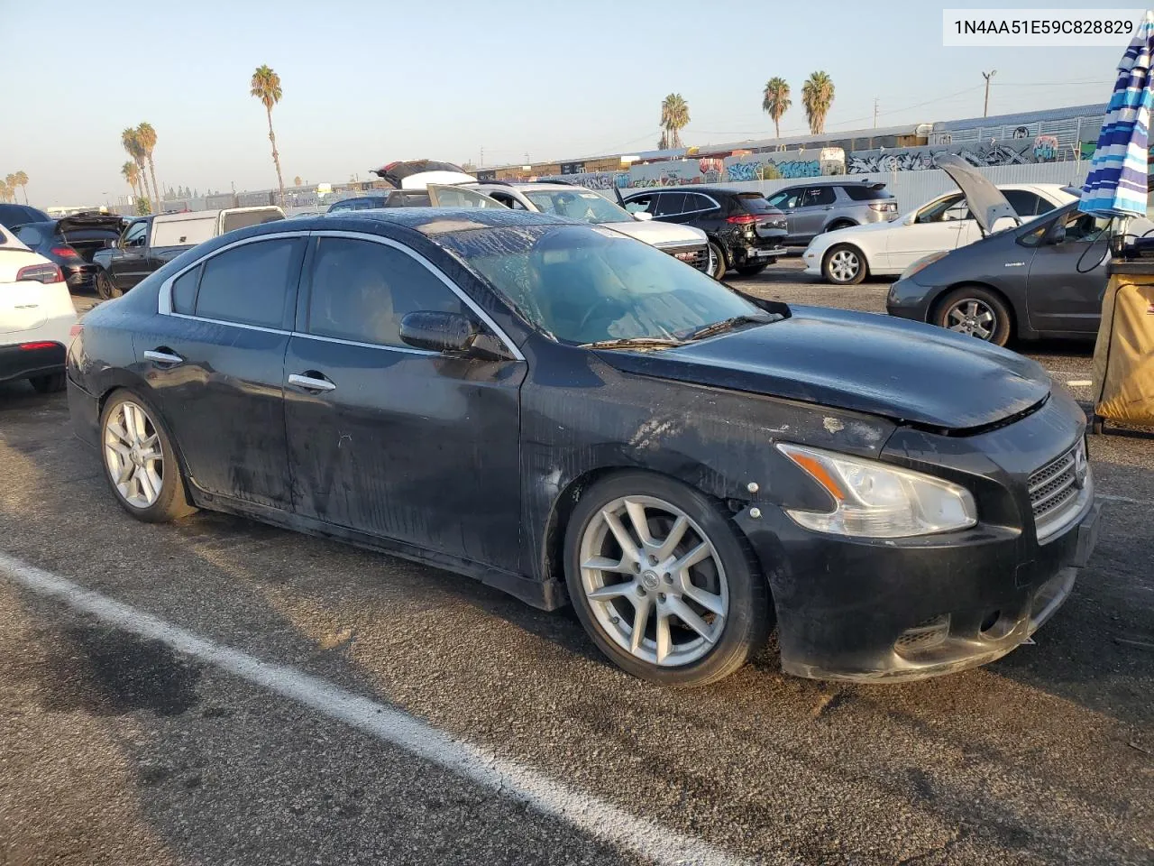 1N4AA51E59C828829 2009 Nissan Maxima S