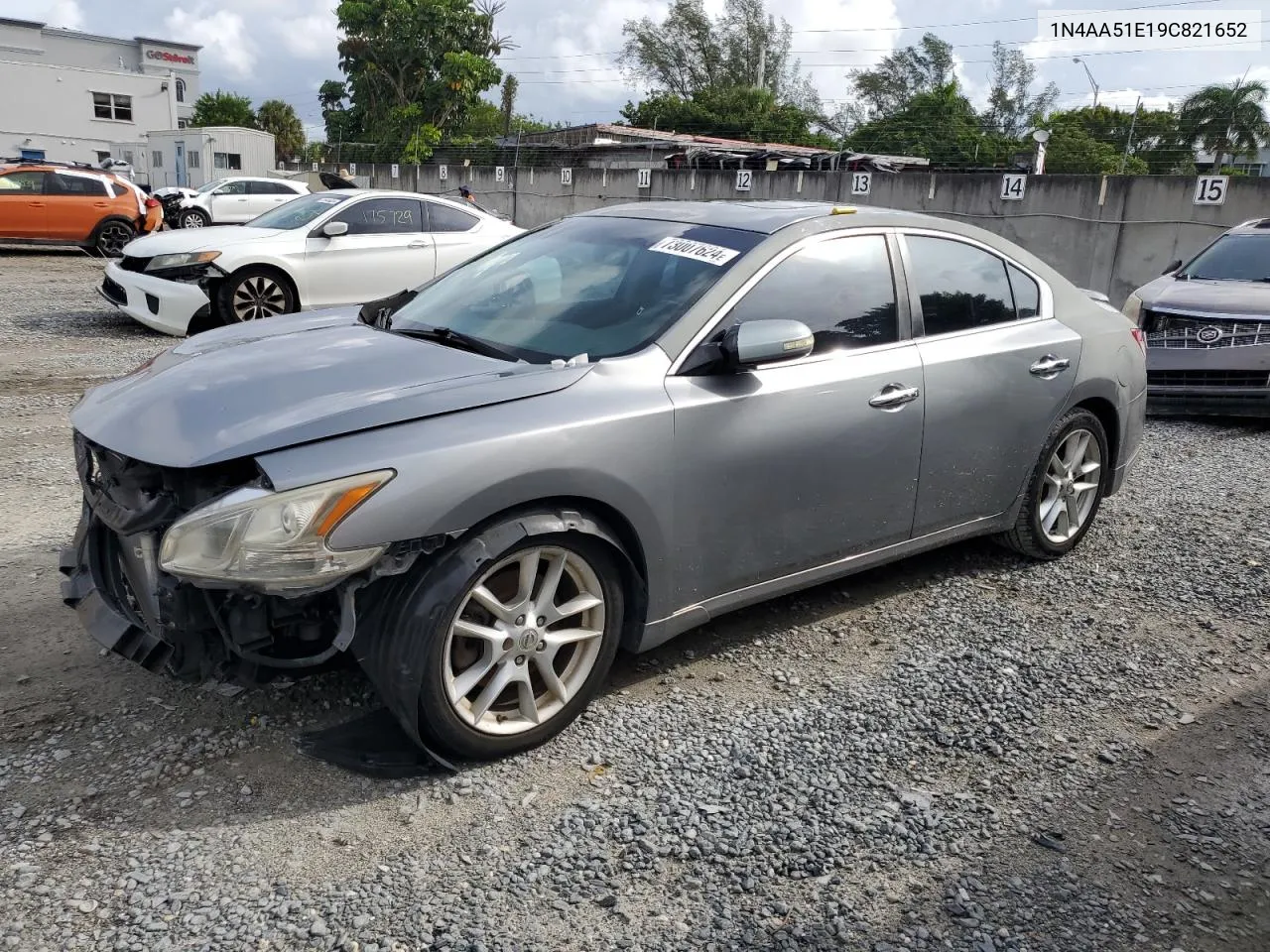 2009 Nissan Maxima S VIN: 1N4AA51E19C821652 Lot: 73007624