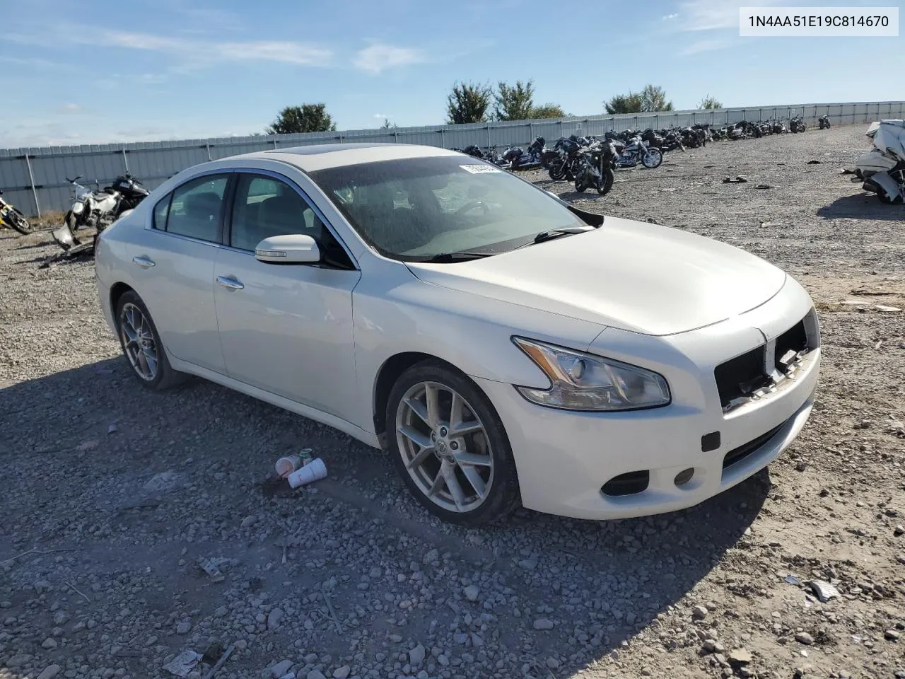 2009 Nissan Maxima S VIN: 1N4AA51E19C814670 Lot: 75644954