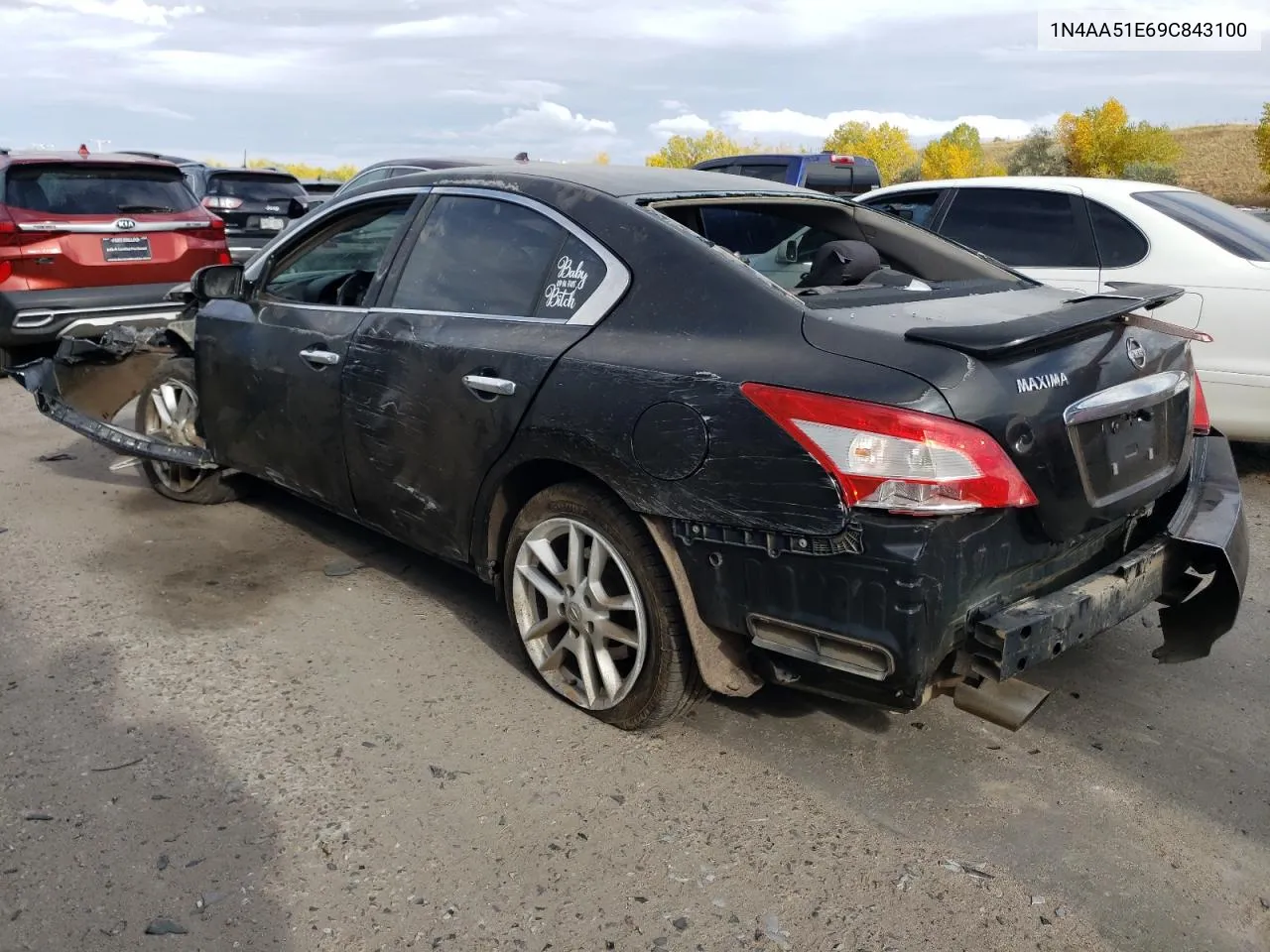 2009 Nissan Maxima S VIN: 1N4AA51E69C843100 Lot: 75744714