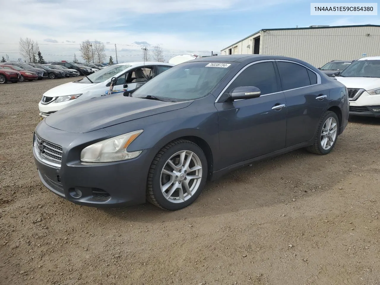 2009 Nissan Maxima S VIN: 1N4AA51E59C854380 Lot: 76038734