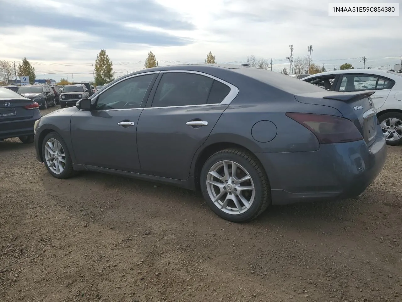 2009 Nissan Maxima S VIN: 1N4AA51E59C854380 Lot: 76038734