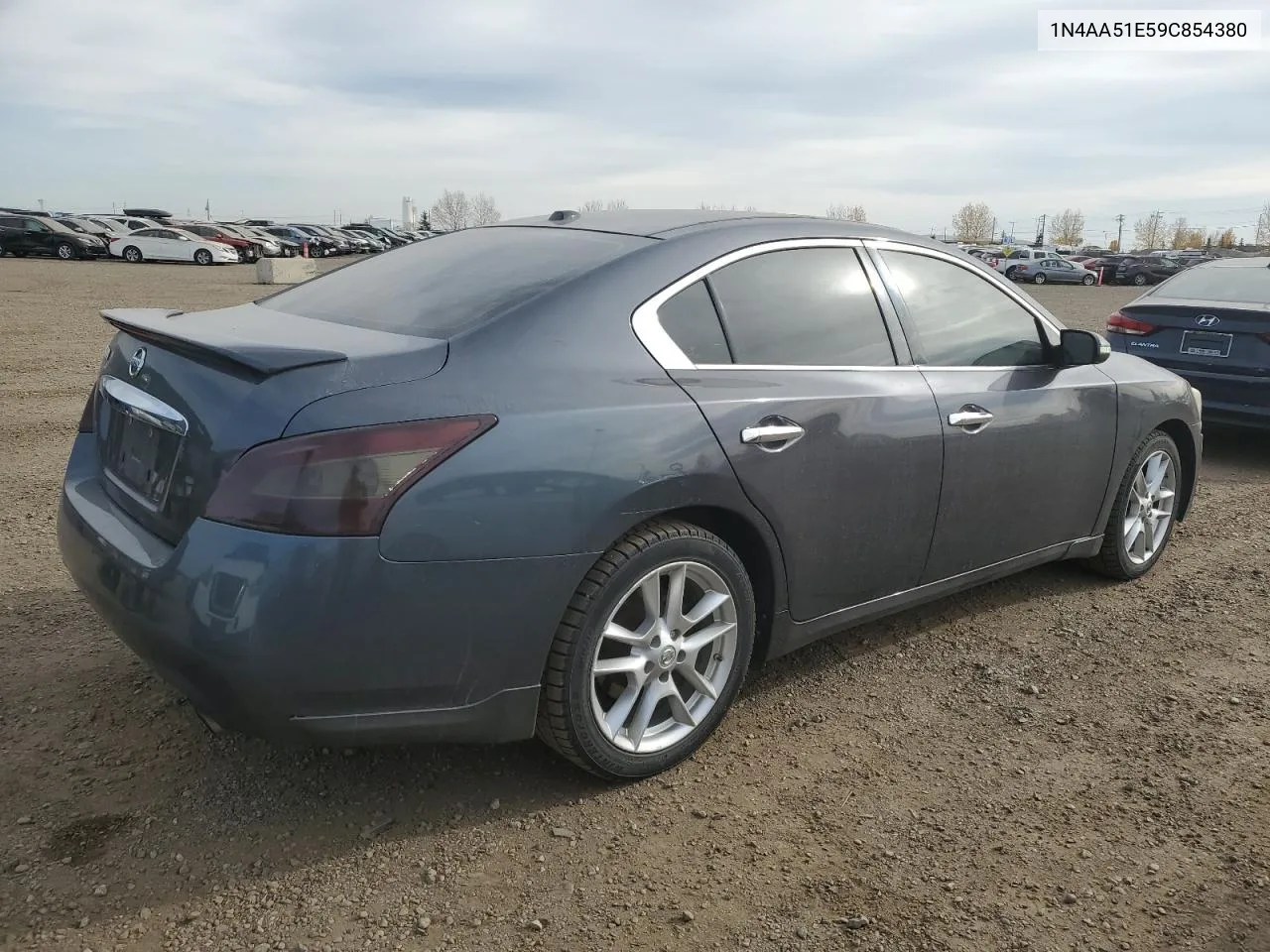 2009 Nissan Maxima S VIN: 1N4AA51E59C854380 Lot: 76038734