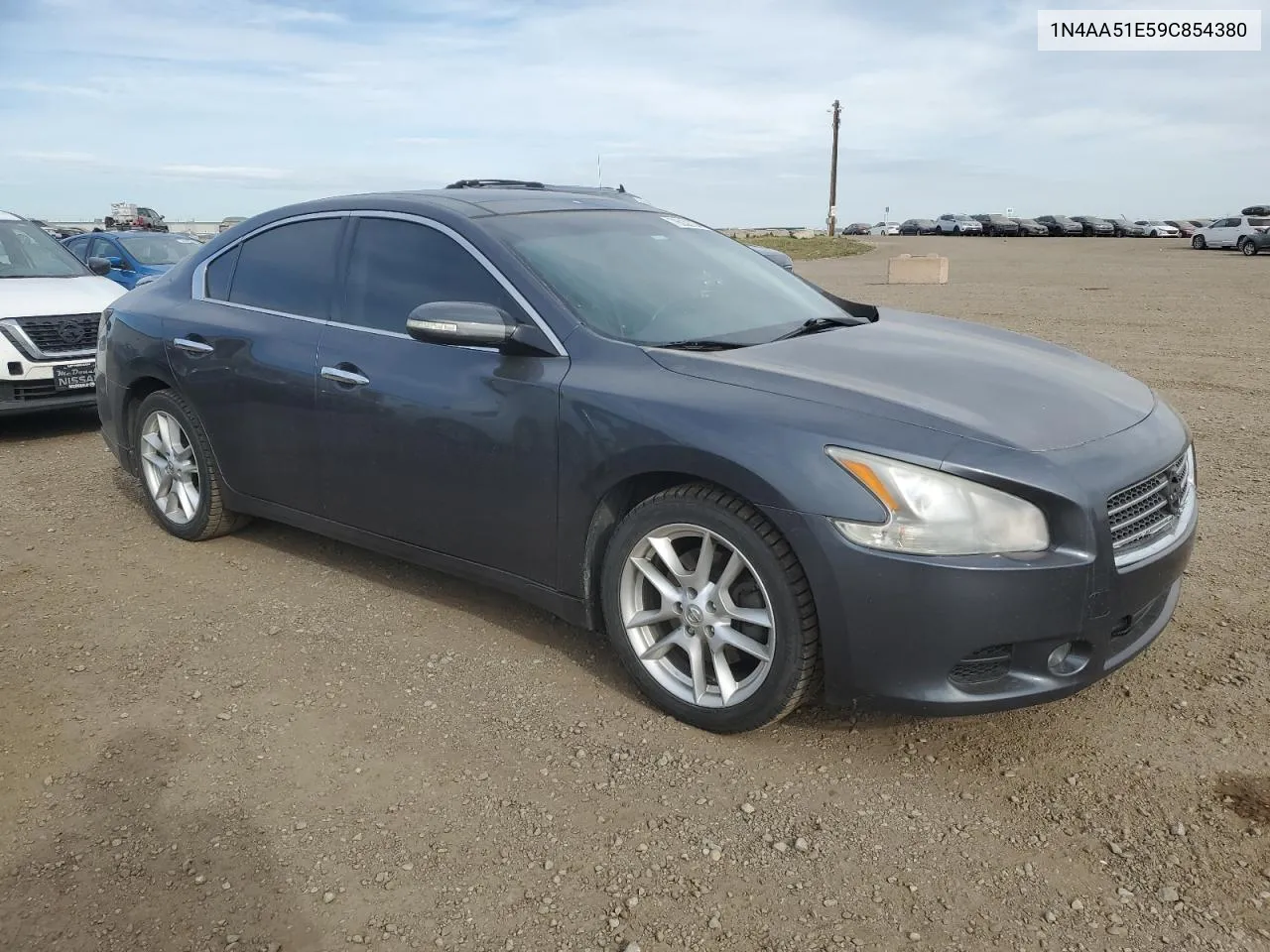 2009 Nissan Maxima S VIN: 1N4AA51E59C854380 Lot: 76038734