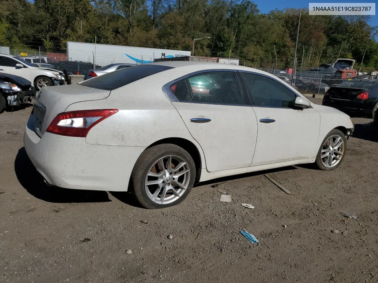 2009 Nissan Maxima S VIN: 1N4AA51E19C823787 Lot: 76713854