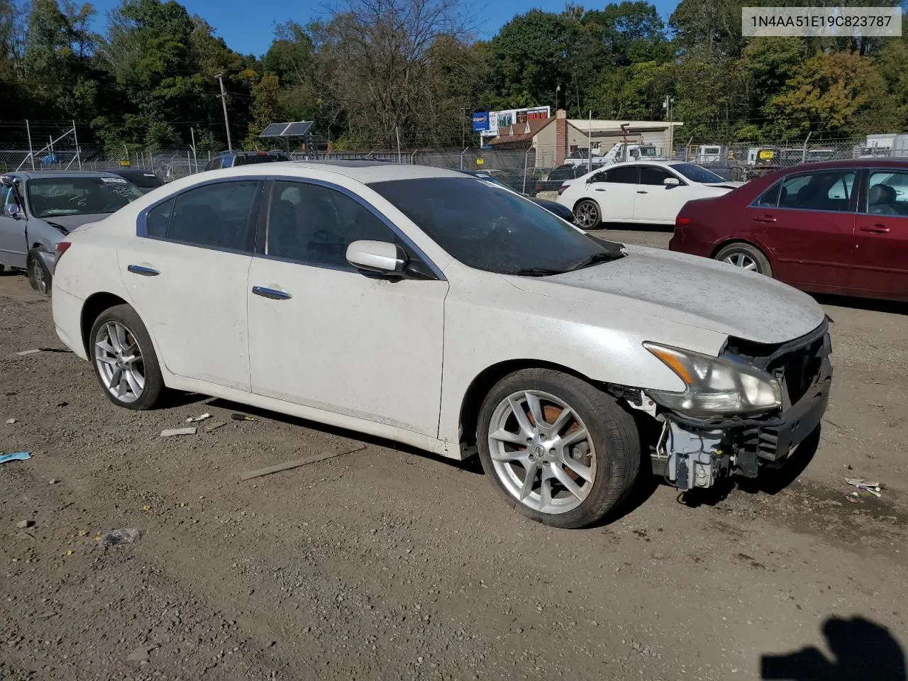 2009 Nissan Maxima S VIN: 1N4AA51E19C823787 Lot: 76713854