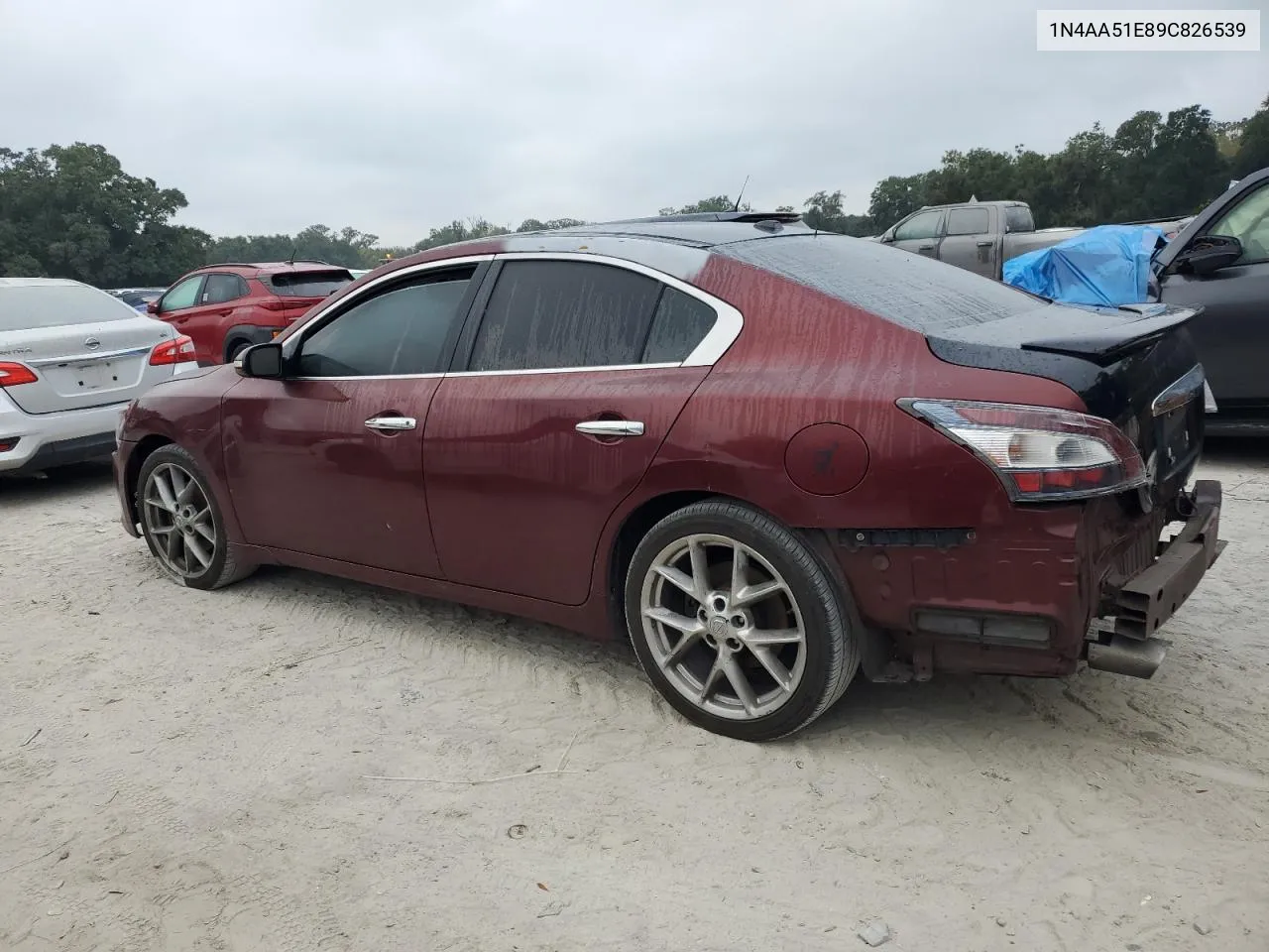 2009 Nissan Maxima S VIN: 1N4AA51E89C826539 Lot: 78021484